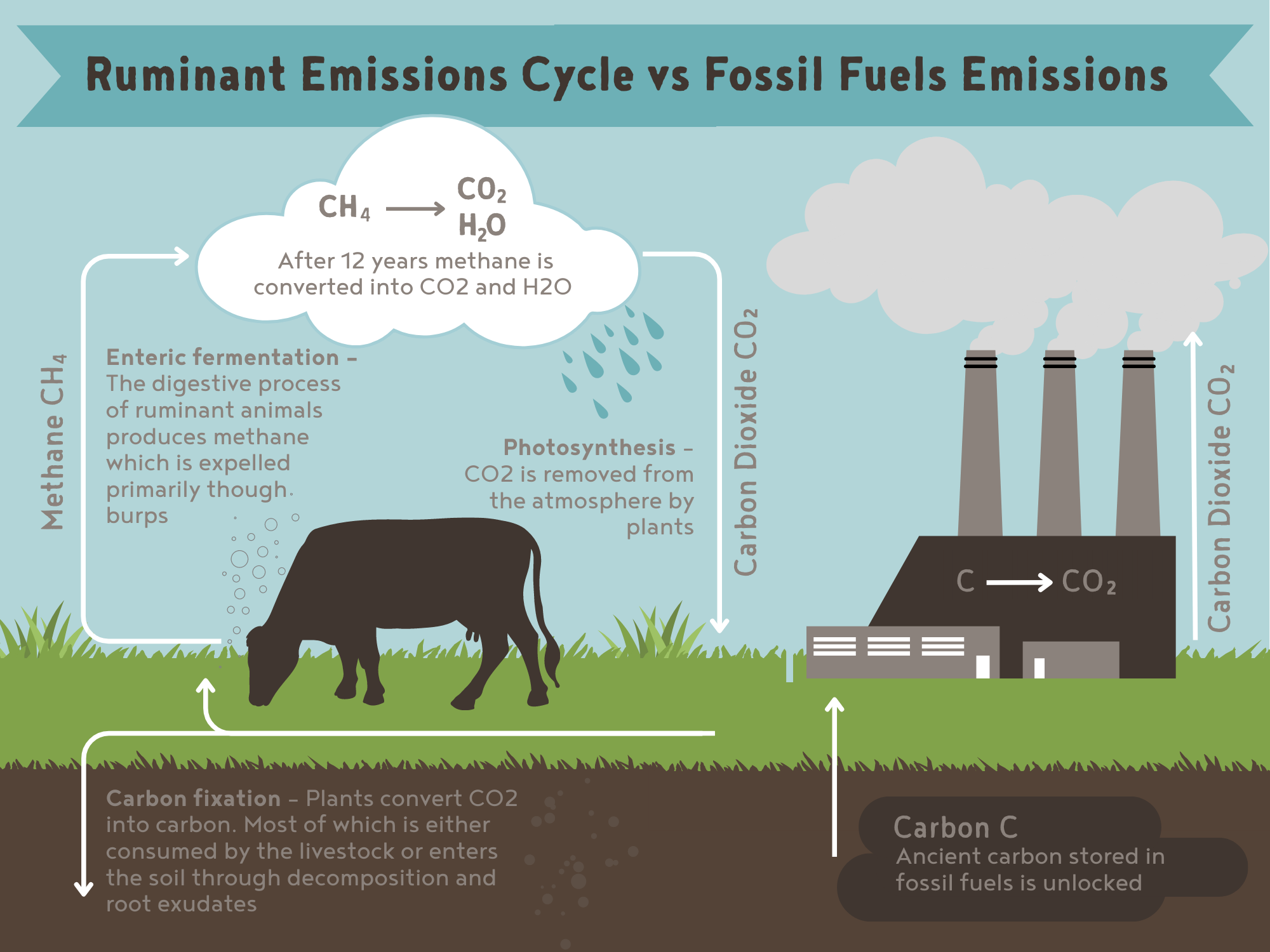 Ruminant Emissions Cycle vs Fossil Fuels Emissions (2)